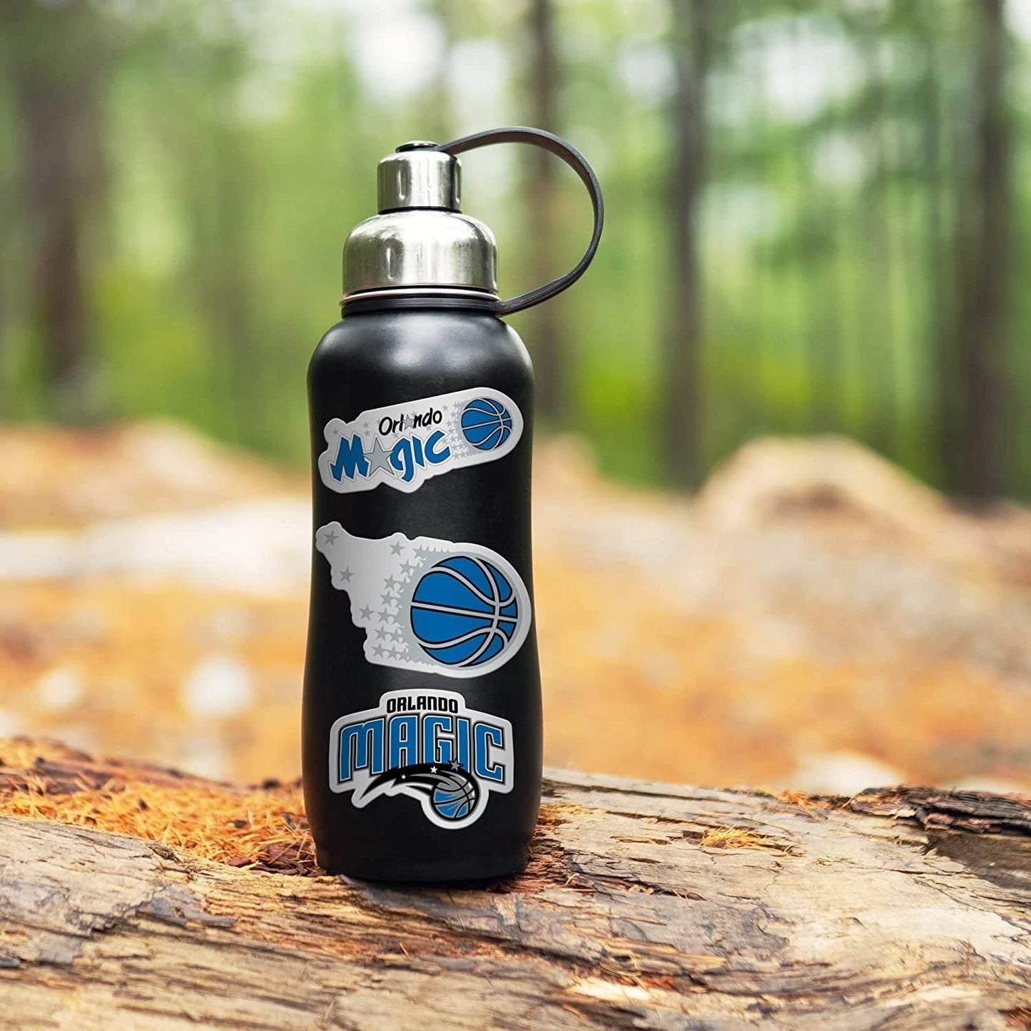 Charlotte Hornets 3-Piece Retro Decal Sticker Sheet, Die Cut, Clear Backing, 3x12 Inch